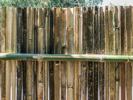 outdoor Bamboo fence in camp at thailandの写真素材