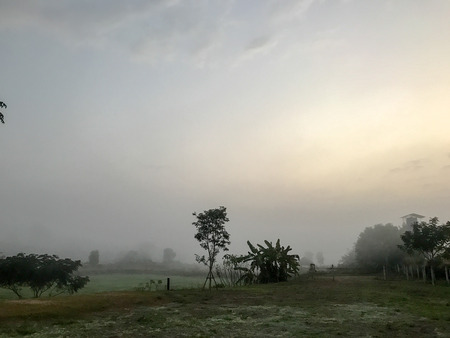 Fog in the land field at the morningの写真素材