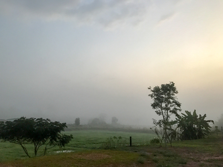 Fog in the land field at the morningの写真素材
