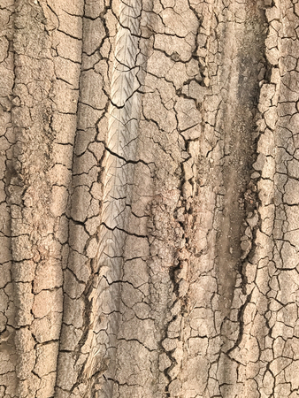 texture of the motocycle tire in dry dirt roadの写真素材