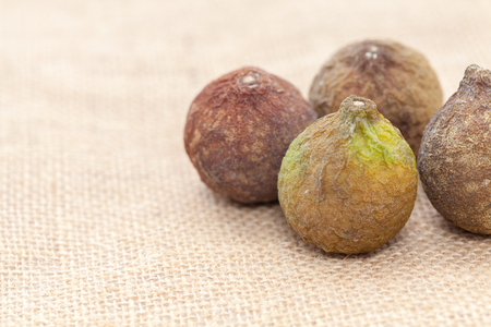 close up of rotten Kaffir lime on sackの写真素材