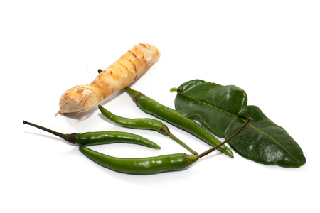Thai food ingredient for Tom yum ginger,Galangal,lemon grass,KAFFIR Lime leaf,red chilli on white backgroundの写真素材
