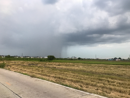 storm raining and rice field at thailandの写真素材