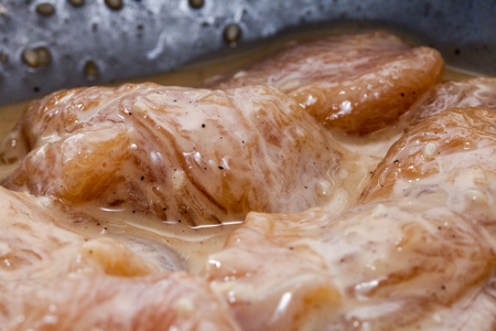 Raw pork slice meat with fermented ready for cookの写真素材