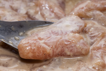 Raw pork slice meat with fermented ready for cookの写真素材