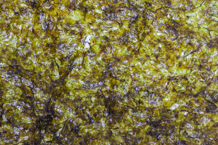 close up of seaweed sheet on white backgroundの写真素材