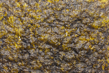 close up of seaweed sheet on white backgroundの写真素材