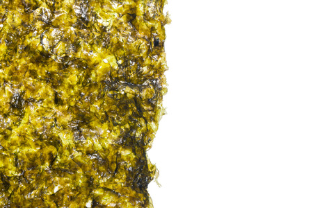 close up of seaweed sheet on white backgroundの写真素材