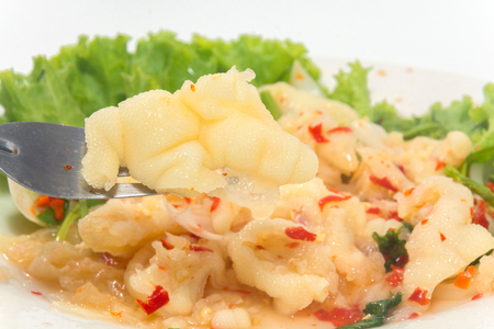 Thai Chicken Leg Salad & Spices on plateの写真素材