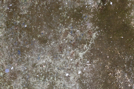background texture of lichen on cement floorの写真素材