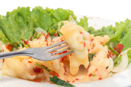 Thai Chicken Leg Salad & Spices on plateの写真素材