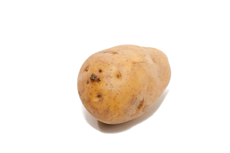 close up of potato isolated on white backgroundの写真素材