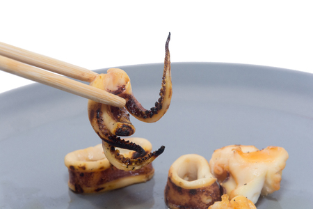 a piece of Grilled squid on plateの写真素材