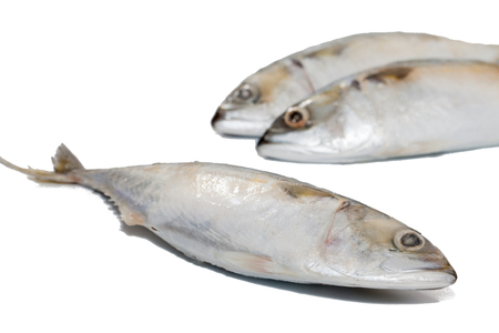 close up of tuna fish on white backgroundの写真素材
