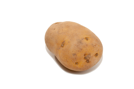 close up of potato isolated on white backgroundの写真素材