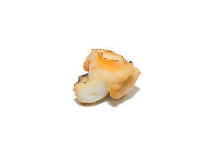 a piece of Grilled squid on white backgroundの写真素材