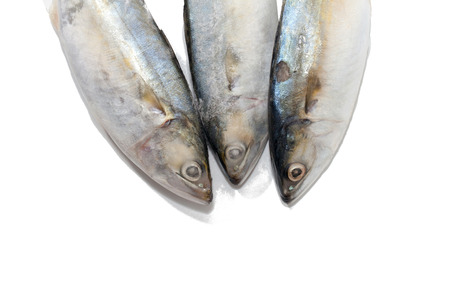 close up of tuna fish on white backgroundの写真素材