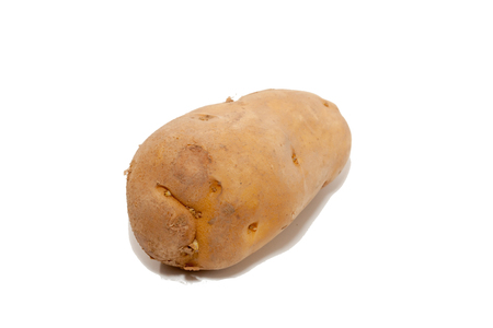 close up of potato isolated on white backgroundの写真素材