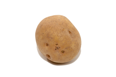 close up of potato isolated on white backgroundの写真素材