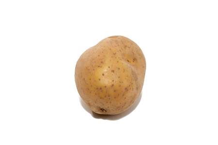 close up of potato isolated on white backgroundの写真素材