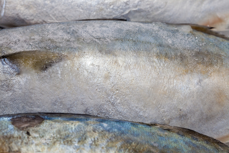 close up of skin of tuna fishの写真素材