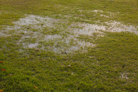 water on wet football field at thailandの写真素材
