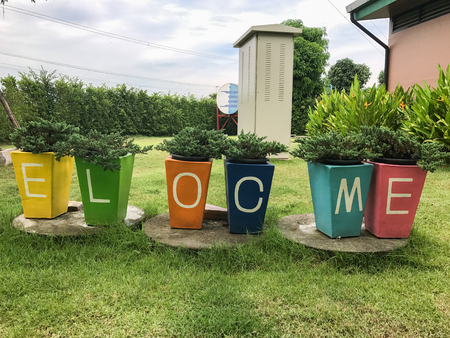 Tree in the pot missspell the word welcomeの写真素材