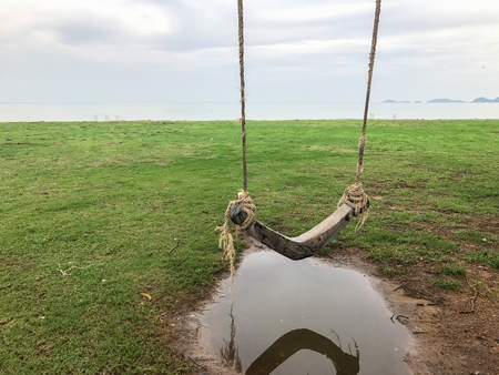 Cradle hang with the tree on the beach