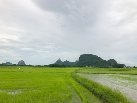 Flood in rice field and mountain at Phatthalung thailandの写真素材