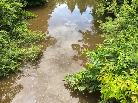 fresh Canal in the forest at thailand