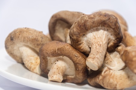Shiitake Mushroom on white plate isolated on whiteの写真素材