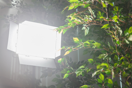 LED lighting equipment for photo and video productionの写真素材