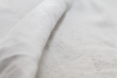 close up of moldy on dirty white t-shirt
