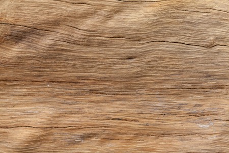 close up of old wooden cut texture