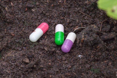 close up of pill on dirt and plant at farmの写真素材