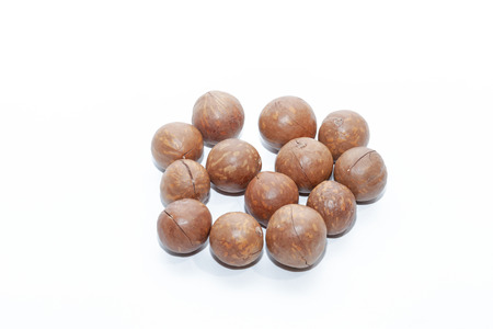 close up of organic macadamia nut on white backgroundの写真素材