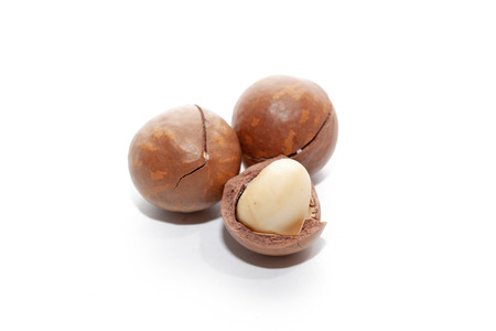 close up of organic macadamia nut on white backgroundの写真素材