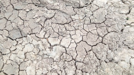 grey crack of dried soil background textureの写真素材