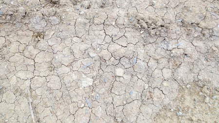 grey dried soil with tire truck trackの写真素材