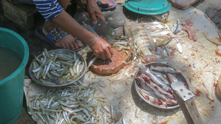 seller cut fish on wooden board in the market at Phatthalung, Thailand