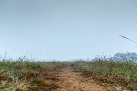 heavy fog and mist in the morning on top of the mountain at mon jong doi, Chiang mai, Thailandの写真素材