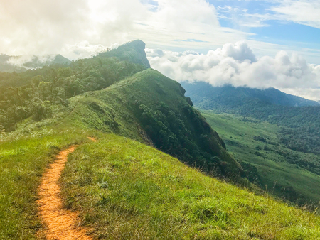 beautiful view and green grass on top of the mon jong mountain at Chaing mai, Thailandの写真素材