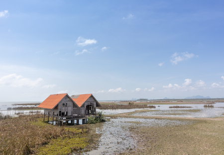 twin abandon house in wet land near lake at Phatthalung, Thailandの写真素材