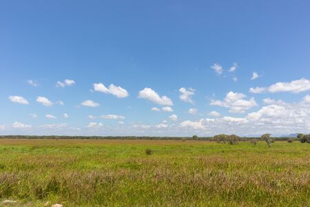 large outdoor grass field at Phatthalung, Thailandの写真素材