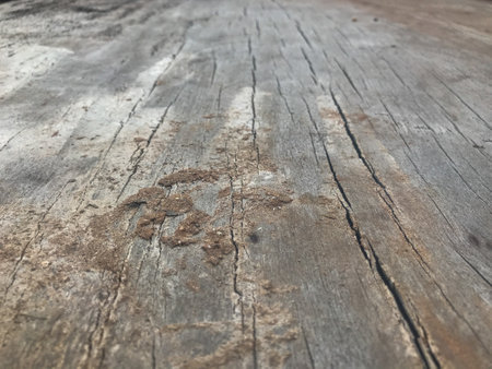 close up of wide big ceiling wood at the Temple, Thailandの写真素材