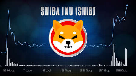 abstract futuristic technology background of Shiba Inu (SHIB) Price Chart coin digital cryptocurrencyのイラスト素材