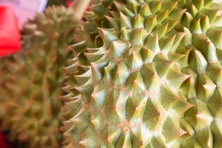 closeup of fresh durian texture at Thailandの写真素材