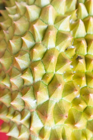 closeup of fresh durian texture at Thailand