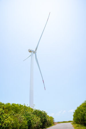Wind Turbine in Pak Phanang district at at Nakornsrithammarat, Thailandの写真素材
