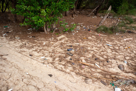 garbage and dirty Sand Beach in Pak Phanang district at at Nakornsrithammarat, Thailandの写真素材